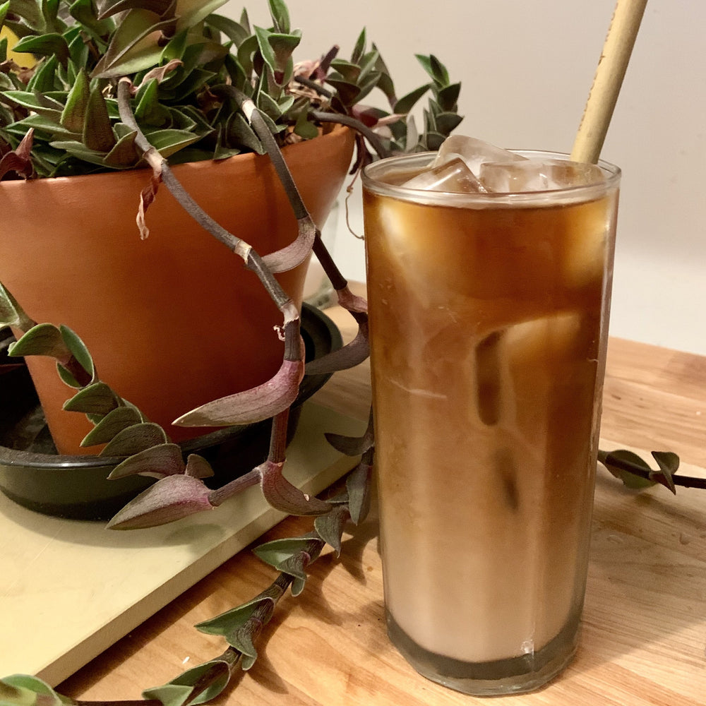 Horchata Reishi Cold Brew - Nuthatch