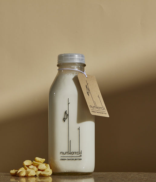 Macadamia Nut - Nuthatch Fresh Plant-Based Milks
